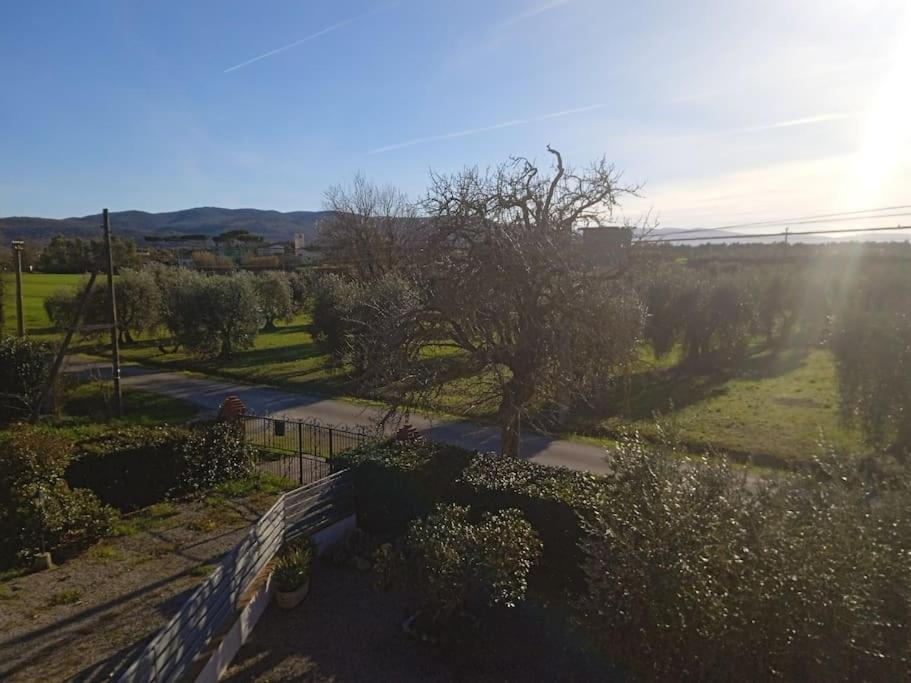 Casa Vacanze Il Pero Marsiliana Exterior foto